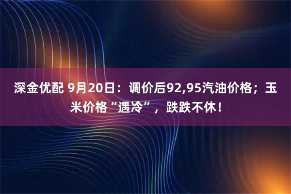 深金优配 9月20日：调价后92,95汽油价格；玉米价格“遇冷”，跌跌不休！