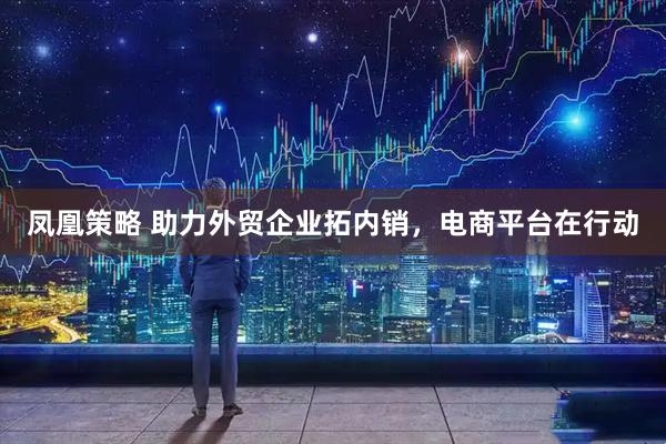凤凰策略 助力外贸企业拓内销，电商平台在行动