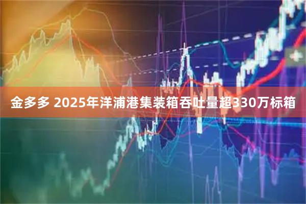 金多多 2025年洋浦港集装箱吞吐量超330万标箱