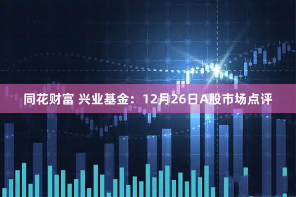 同花财富 兴业基金：12月26日A股市场点评