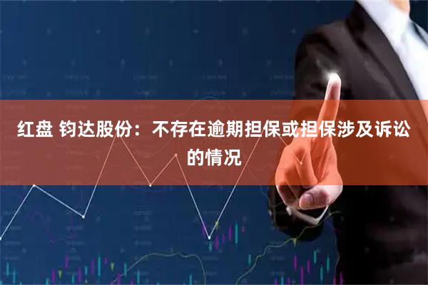 红盘 钧达股份：不存在逾期担保或担保涉及诉讼的情况